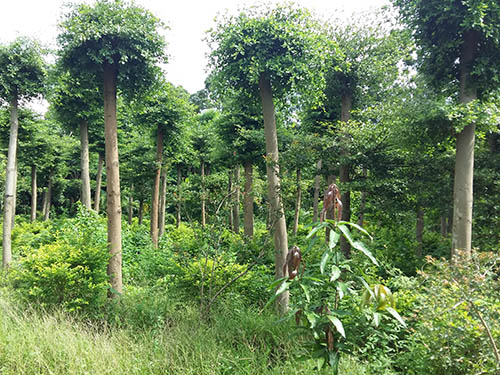 生产基地实景